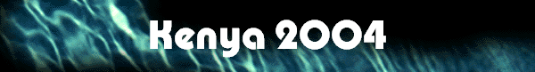 Kenya 2004