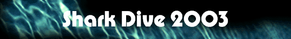 Shark Dive 2003