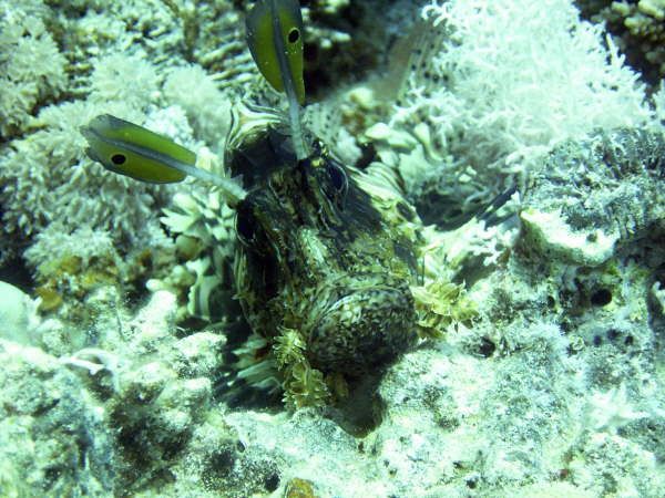 Andy_el_gouna_2005 040